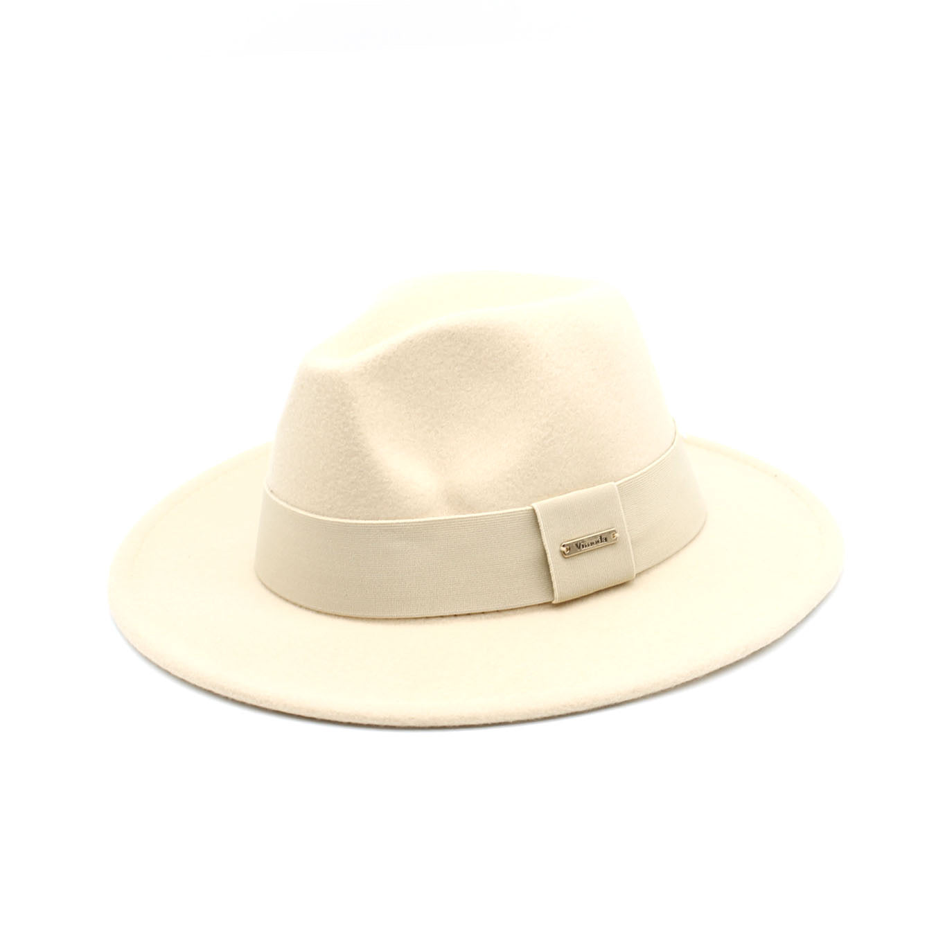 Timeless Fedora
