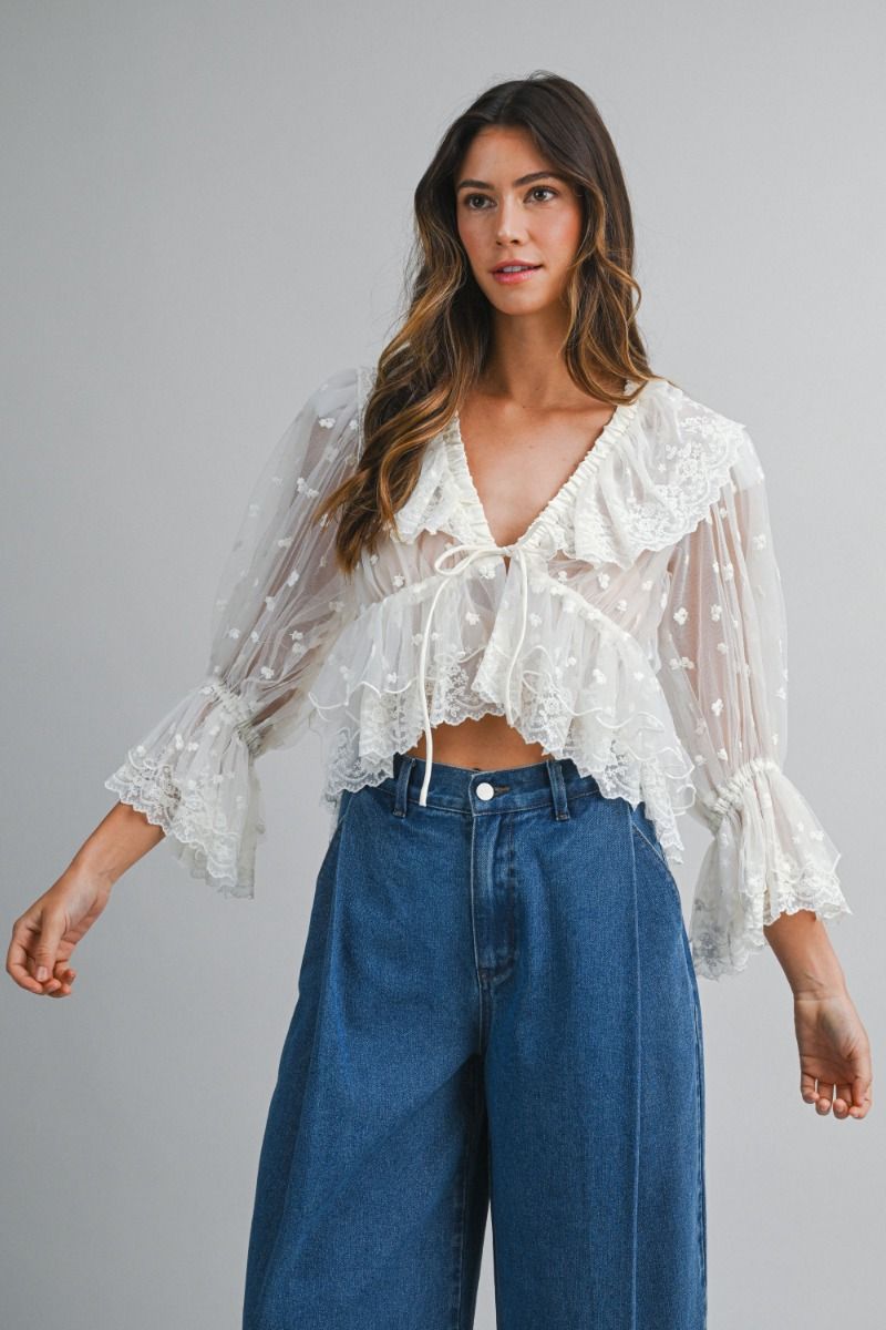 Sheer Blouse