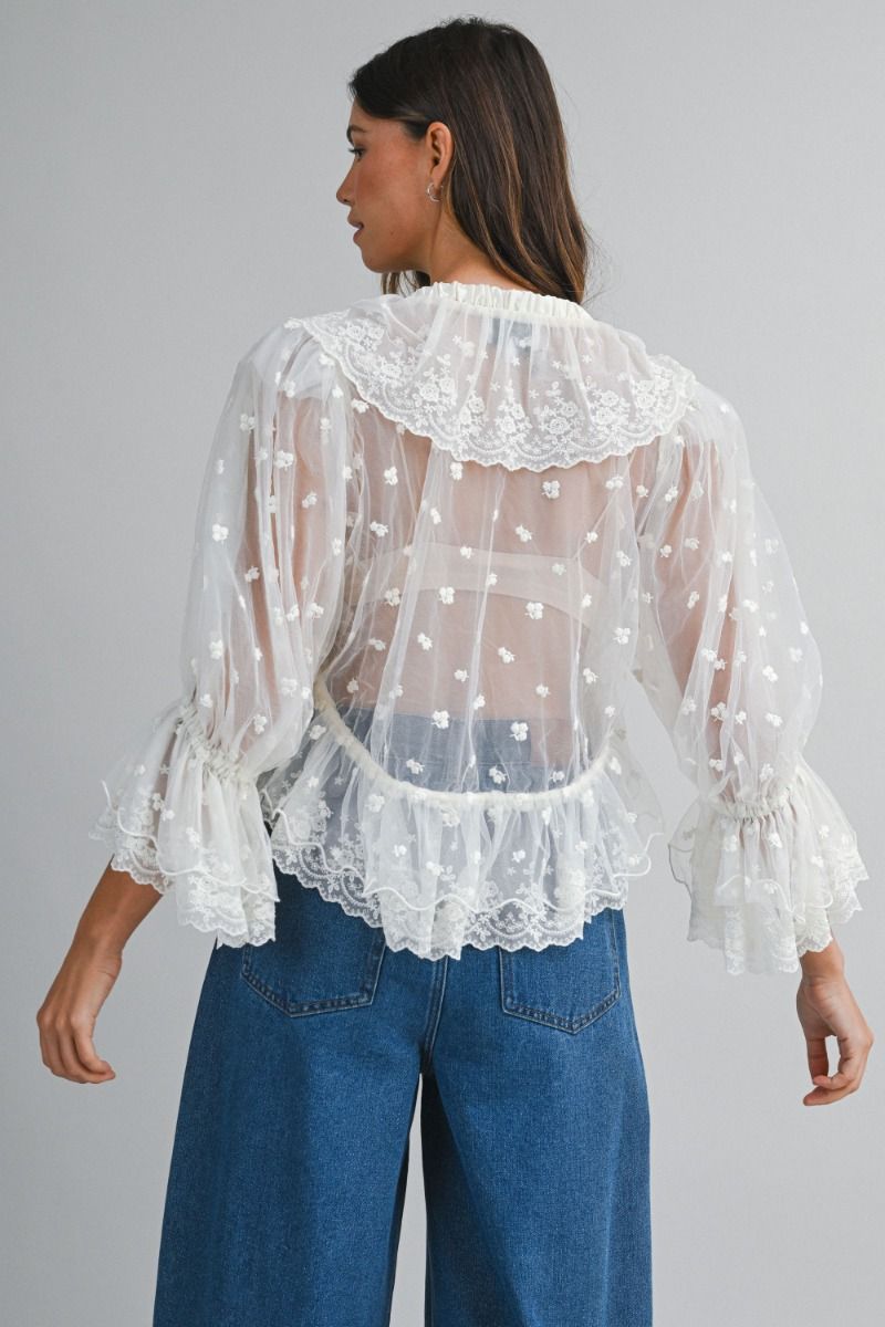 Sheer Blouse