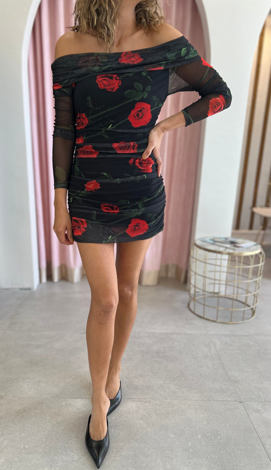 Roseta Dress