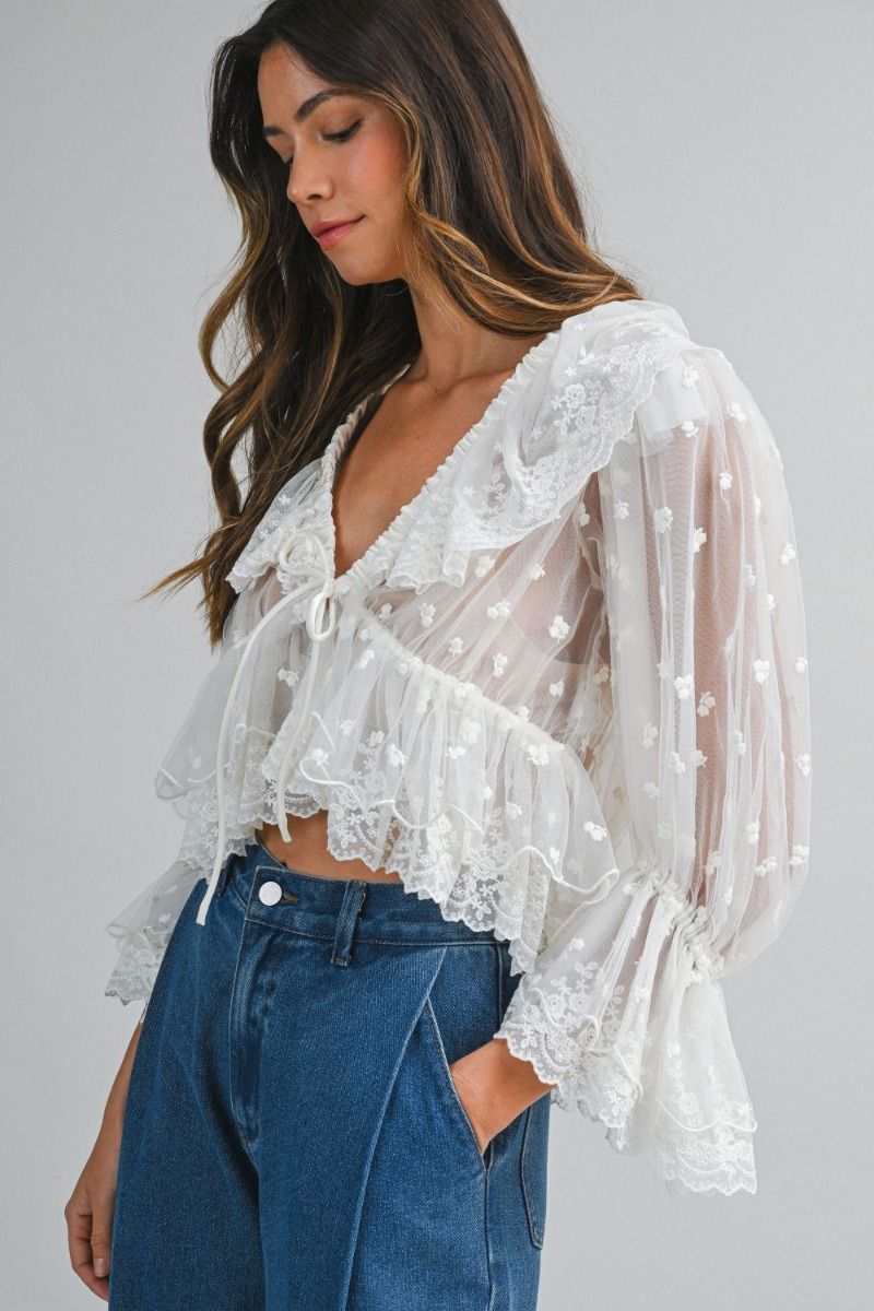 Sheer Blouse