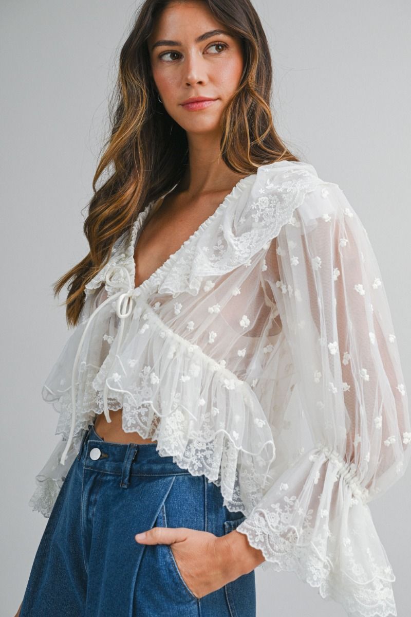 Sheer Blouse