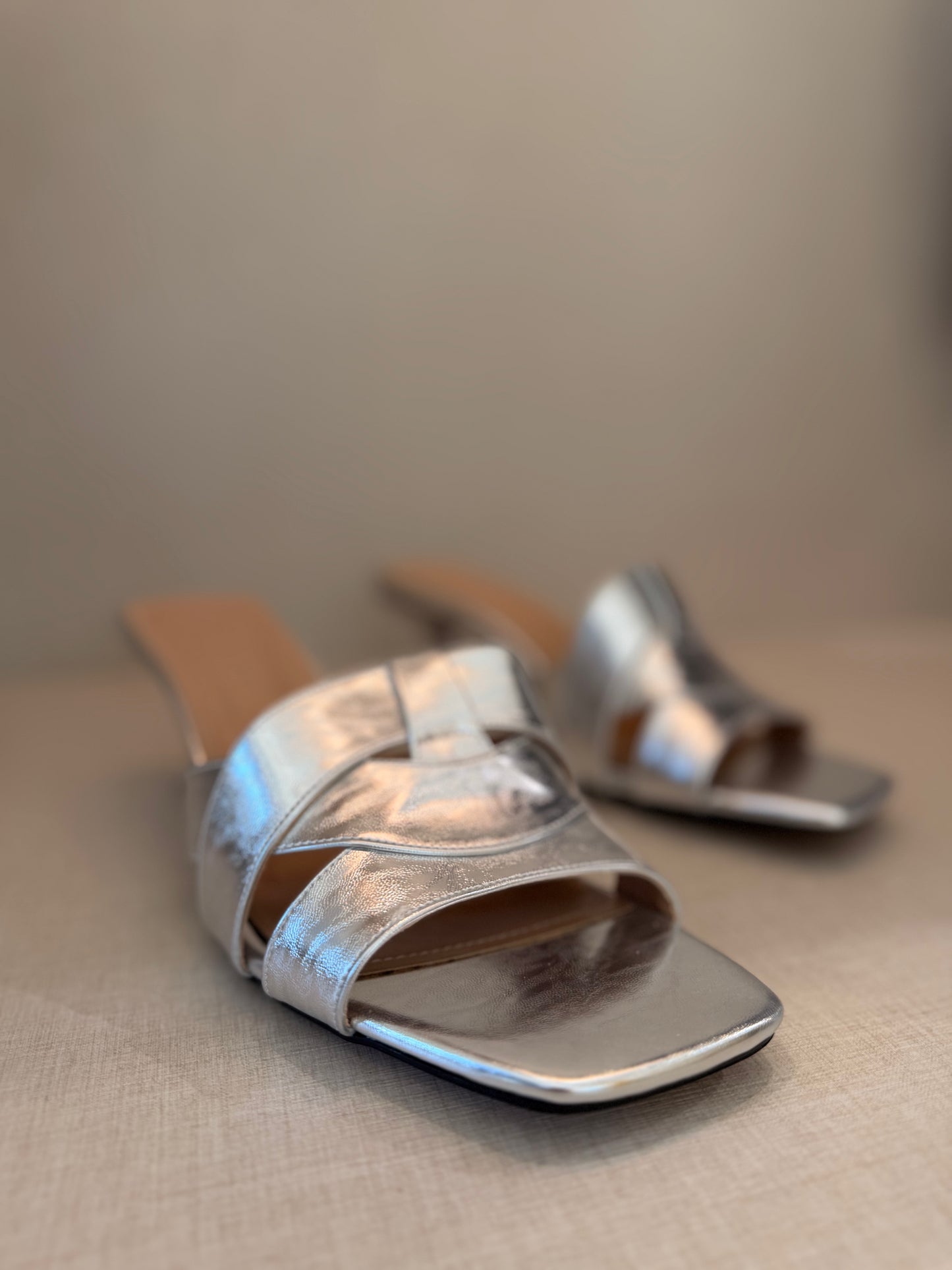 Silver Moon Mule