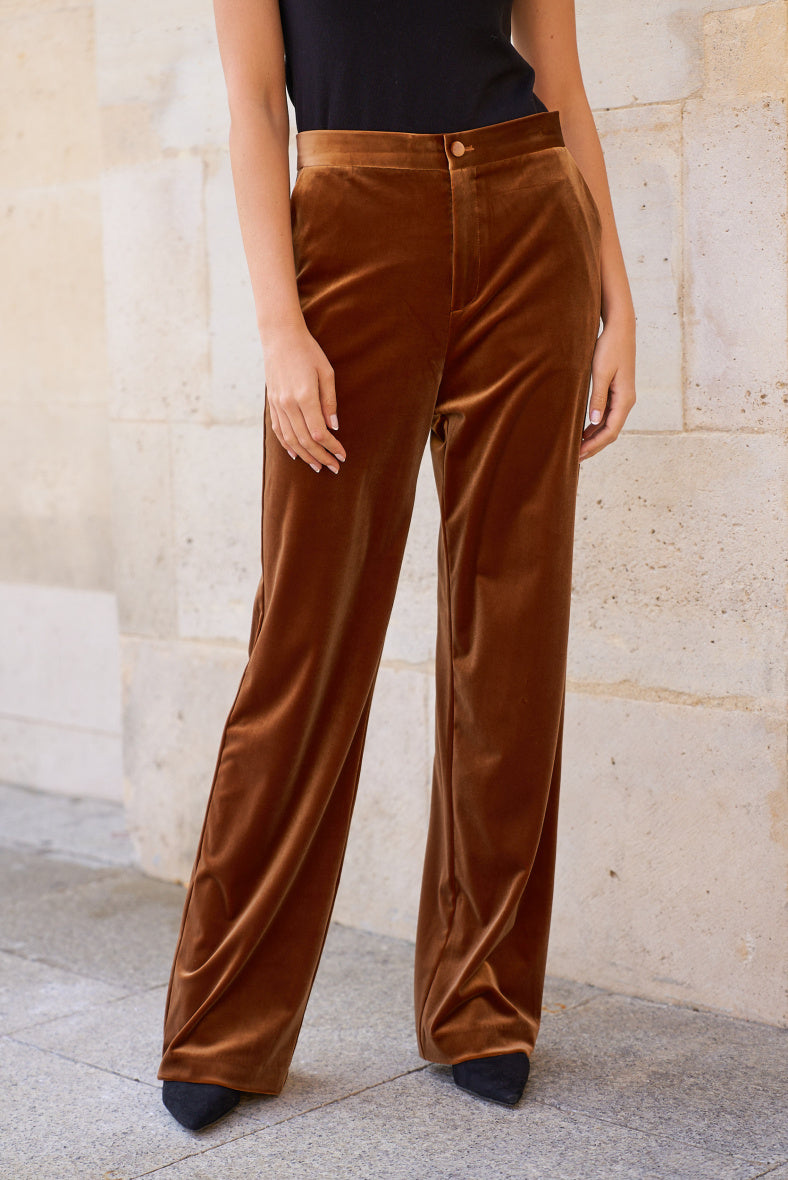 Bronze Velvet Pants